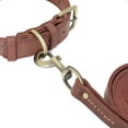 thumbnail image 3 of Didog Strong Genuine Leather Dog Collar and Lead Set Braided Adjustable Pet Collars, 3 of 6