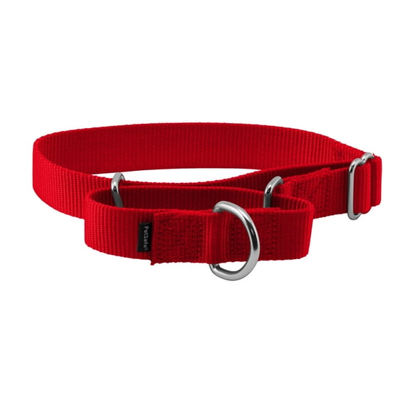 PetSafe Martingale Dog Collar, Greater control and reduce the risk of slipping out, Medium, 1 in, Red