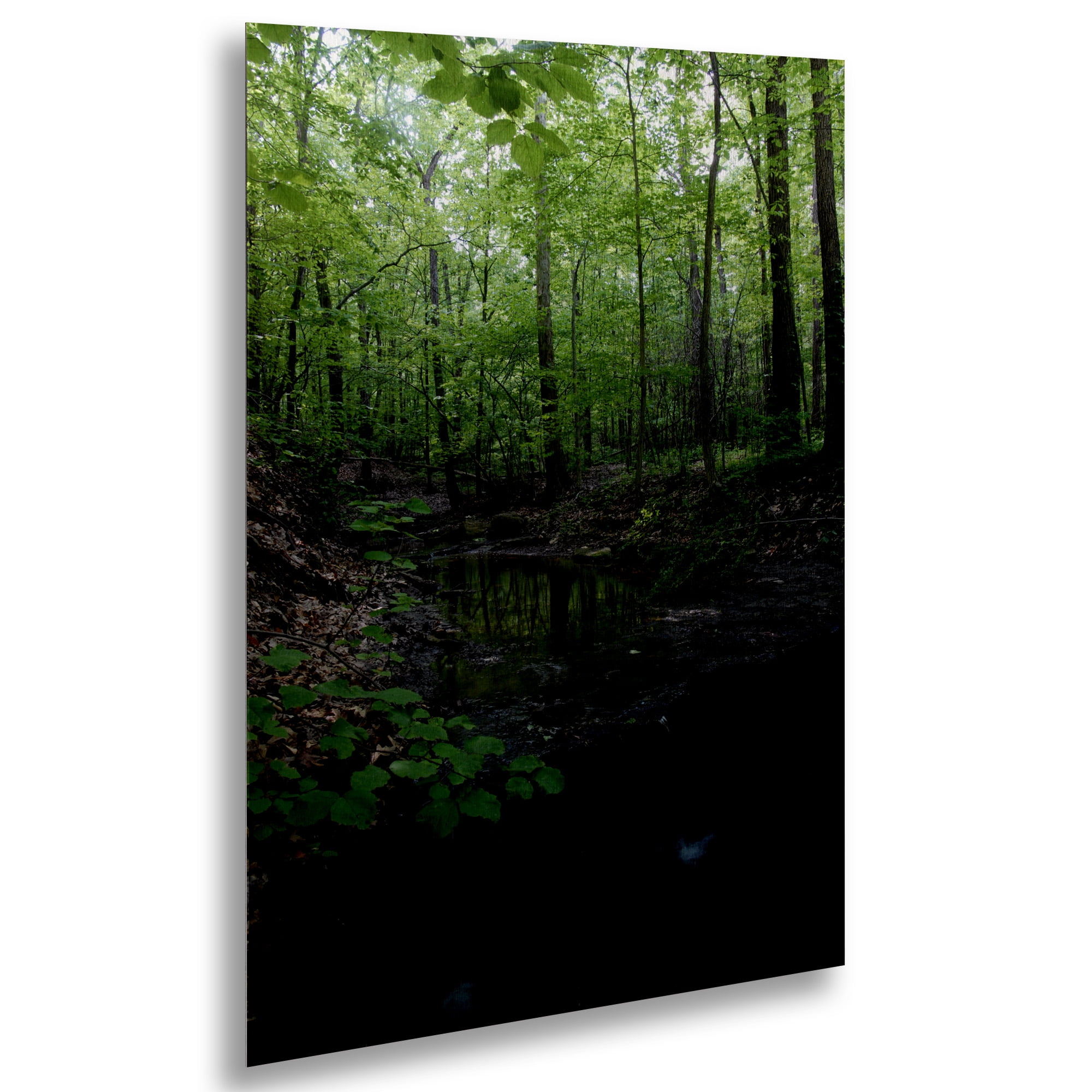 Trademark Fine Art 'Tiny Forest Falls' Brhed Aluminum Wall Art Art by Kurt Shaffer
