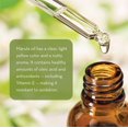 thumbnail image 3 of Aceite facial Pure Body Naturals Marula 30 ml 100% natural, 3 of 5