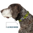 thumbnail image 6 of Buckle-Down Pet Collar, Dog Collar Metal Seatbelt Buckle, Bandana Skulls Green Gold, 9.5 to 13 Inches 1.0 Inch Wide, 6 of 8