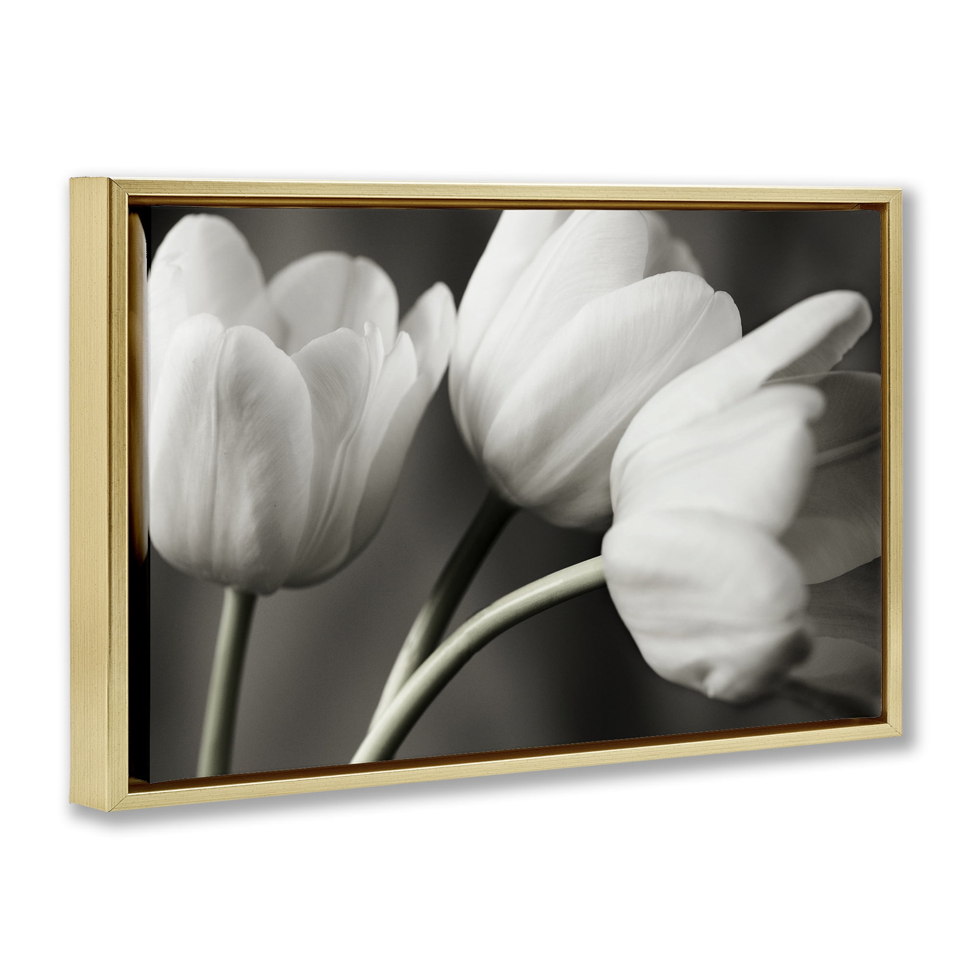 Stupell Industries Row Of Monochrome Tulips Gold Framed Floater Canvas Wall Art, design by Tom Quartermaine