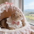 thumbnail image 6 of Elegant Lace Cat Collar with Cute Bow, Cat Collars with Bow Tie,Pet Lace Bib Collar with Cute Bow, Cat Princess Costumes, 6 of 6