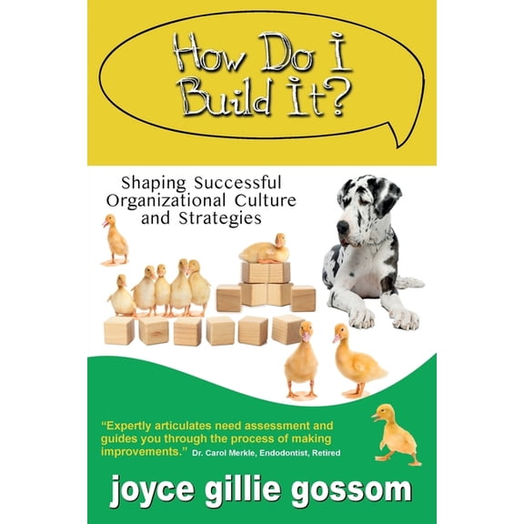 How Do I Build It? Shaping Successful Organizational Culture and Strategies, (Paperback)