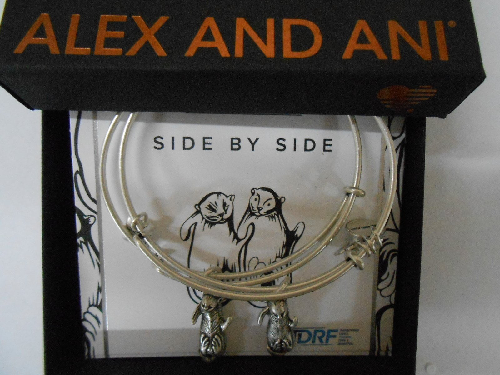 Alex and Ani Charity by Design Side by Side Set of 2 Silver-Tone Otter Bangle Bracelets