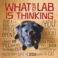 thumbnail image 2 of What Your Lab Is Thinking, 2 of 2