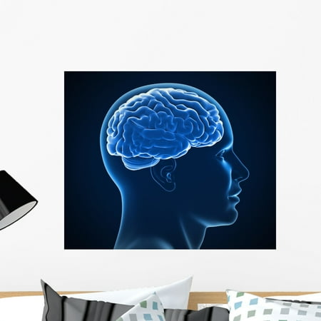 human brain x-ray wall mural decalwallmonkeys vinyl peel and