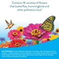 thumbnail image 3 of Burpee Hummingbird & Butterfly Mix Wildflower Seeds – Non-GMO, Attracts Pollinators, Annual & Perennial Flowers, 3 of 5