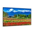 thumbnail image 4 of NEC MultiSync M751-AVT3 - 75" Diagonal Class M-Series LED-backlit LCD display - with TV tuner - digital signage - 4K UHD (2160p) 3840 x 2160 - HDR - direct-lit LED, 4 of 8