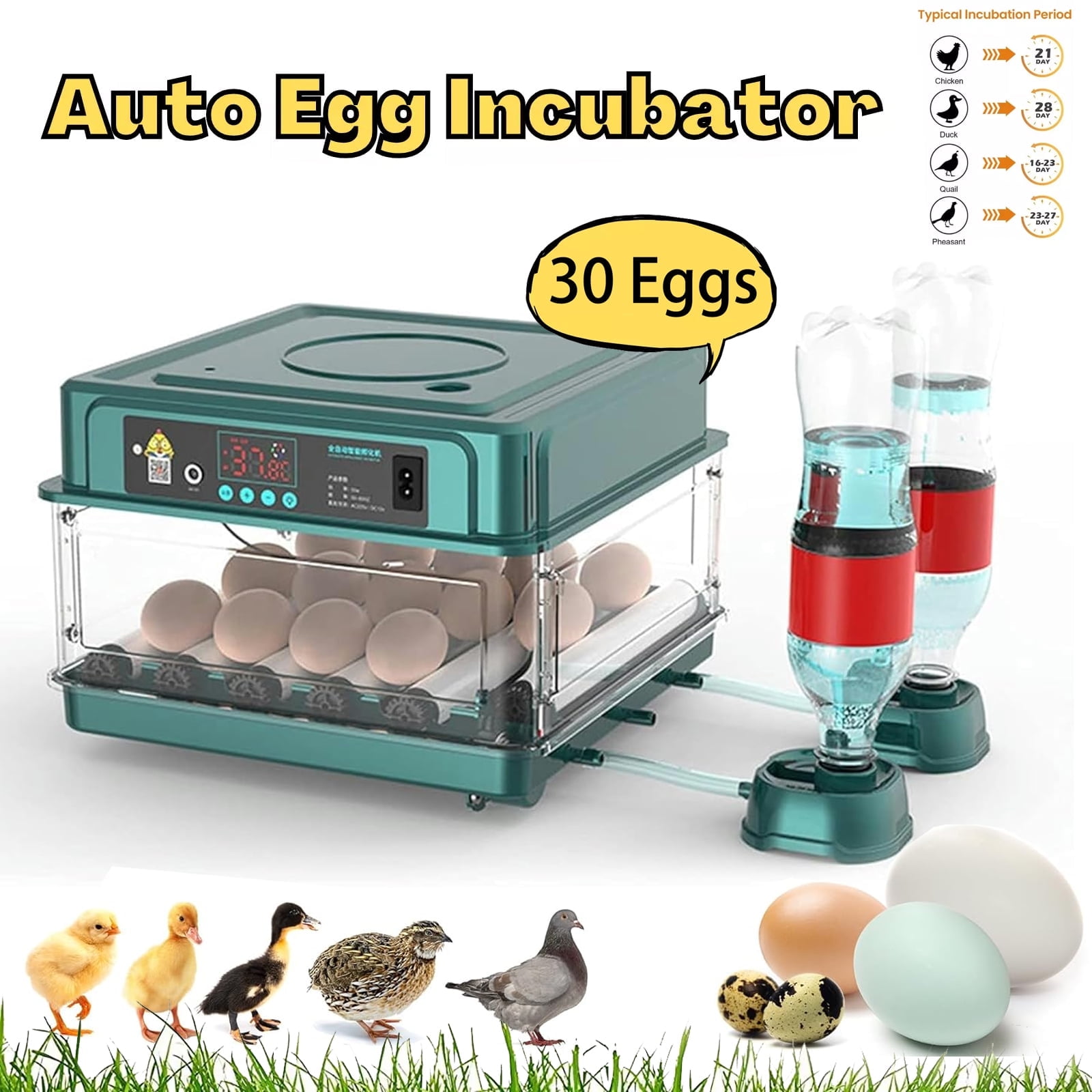 Hairycotar Egg Incubator, 16 Eggs Capacity, Automatic Turner