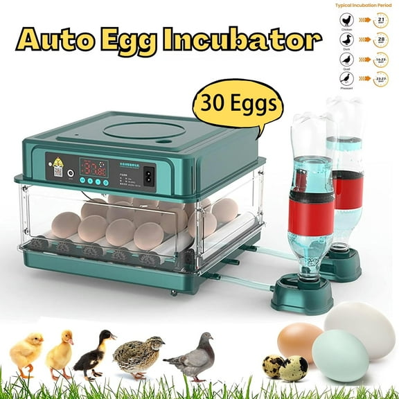 30 Egg Incubator with Automatic Egg Turning and Humidity Temperature Control, Egg Candler Incubators for Hatching Chickens, Ducks, Geese, Quails, and Birds