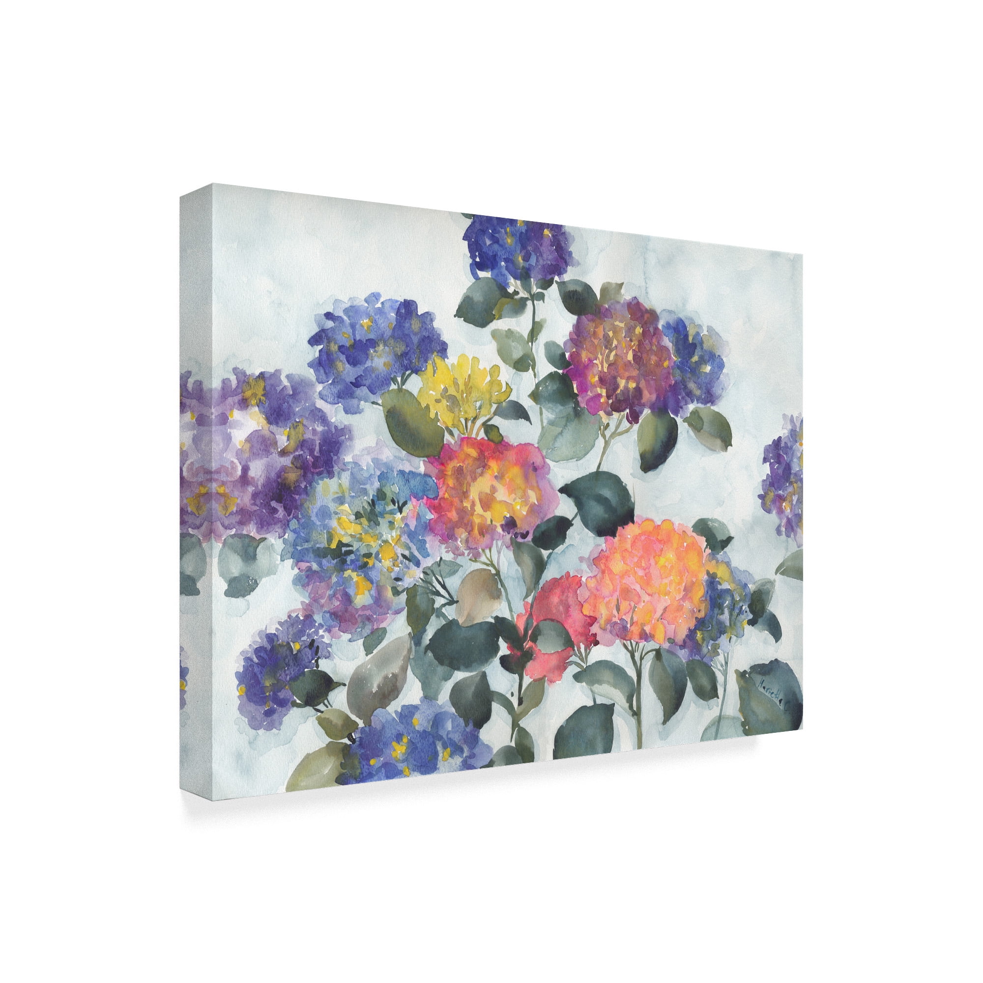 Trademark Fine Art 'Hortensia Delight' Canvas Art by Marietta Cohen Art And Design