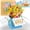 11 years old, variant on Large Pop Up Birthday Cards ,17 Ages Funny Happy Birthday Cards 3D Greeting Cards Special Birthday Gifts for Kids Teens Women Men Son Daughter