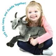 Patrick the Pygmy Goat | 18 Inch Large Stuffed Animal Plush | By TigerHart Toys