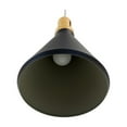 thumbnail image 6 of Noir Collection One Light Pendant, 6 of 8