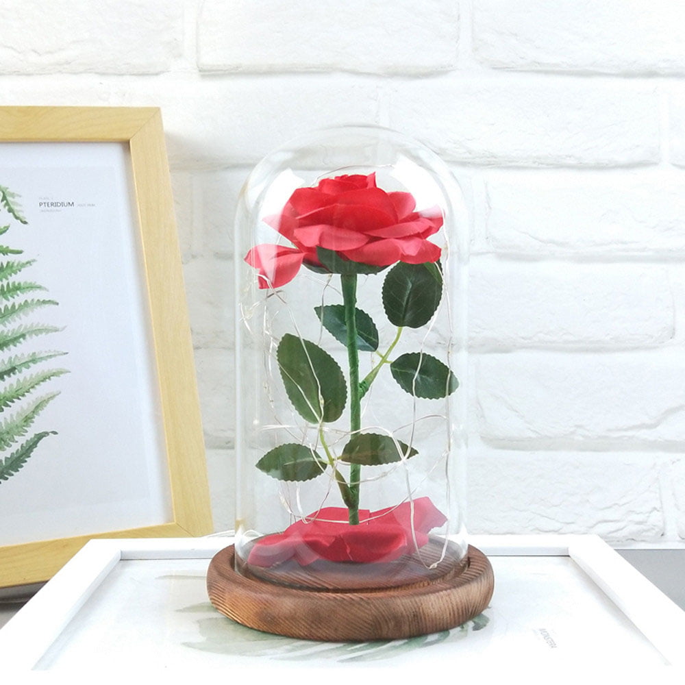 Details about   Eternal Flower in Glass Dome Rose Flowers Luminous Led Light Valentine's Gifts 