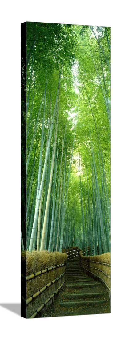 Kyoto Bamboo Forest Path Scenic Canvas Print 12" x 36"