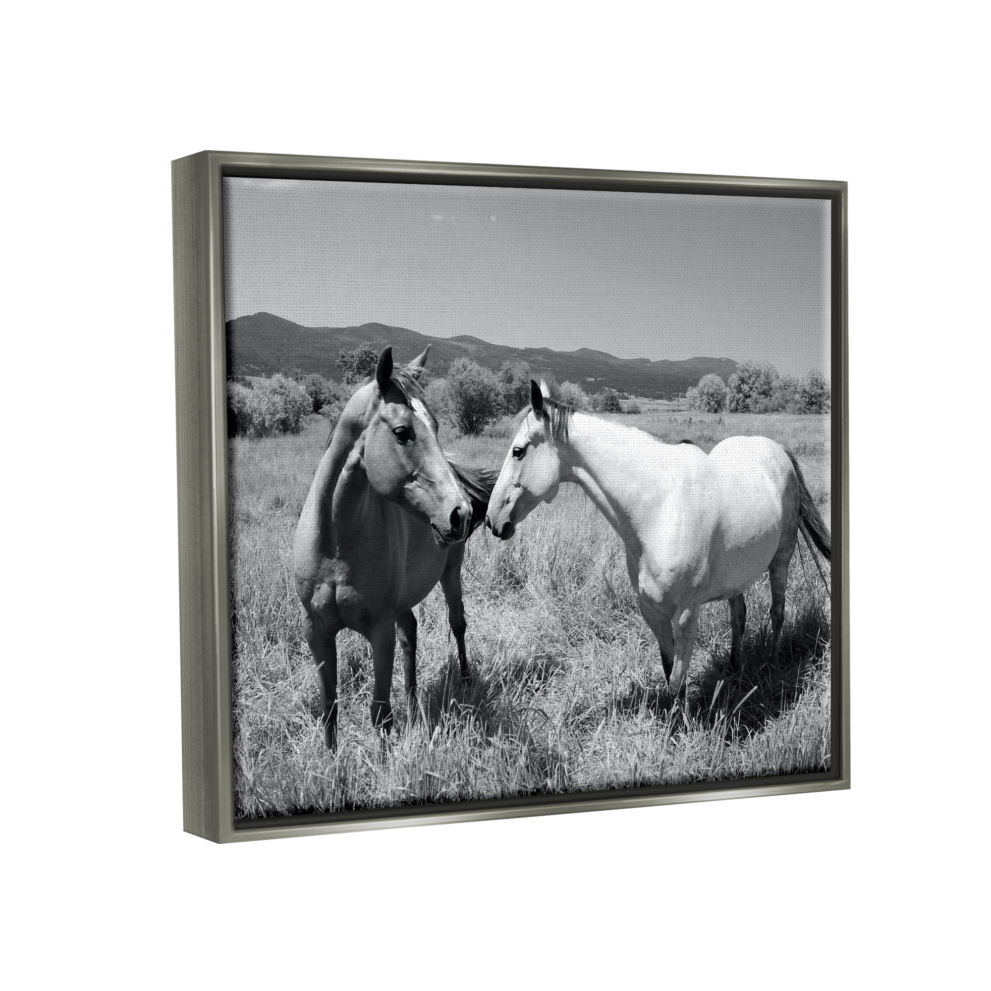 Stupell Industries Two Horses Photography Landscape Photography Gray Floater Framed Canvas Art Print Wall Art, 31 x 25