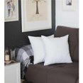 thumbnail image 1 of HomeRoots 399397 Blanc Moderne Coussins Carrés & 44; Multi Couleur - Lot de 2, 1 of 1