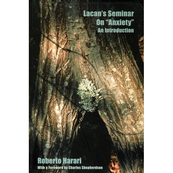 Lacan's Seminar on Anxiety: An Introduction, (Paperback)