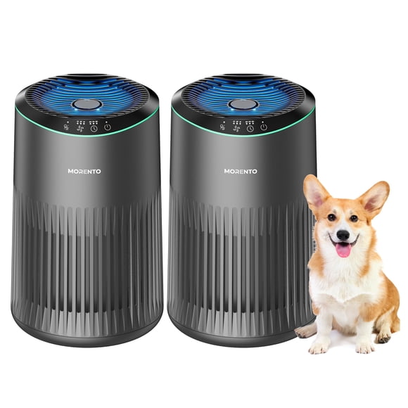 Air Purifiers for Bedroom Home with Sleep Mode for Smoke Pet Dander Odors, Small Air Purifier with Fragrance Sponge, Blue Ambient