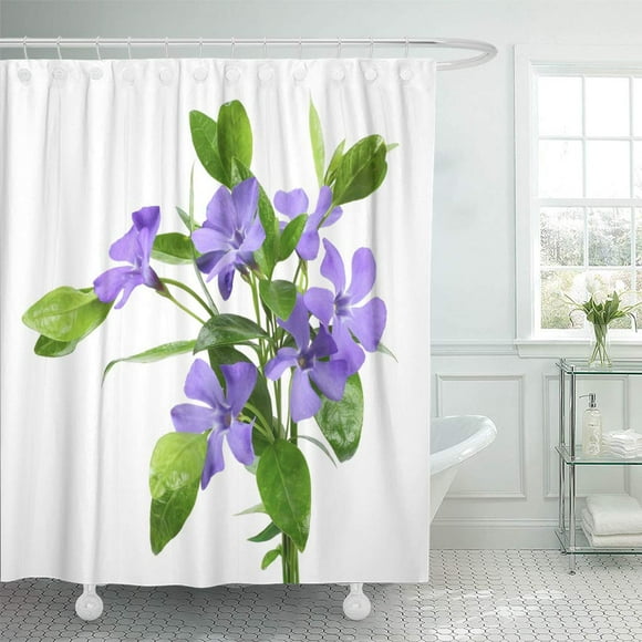 SUTTOM Background Bouquet of Blue Periwinkle Vinca Minor Isolated on White Shower Curtain 60x72 inch