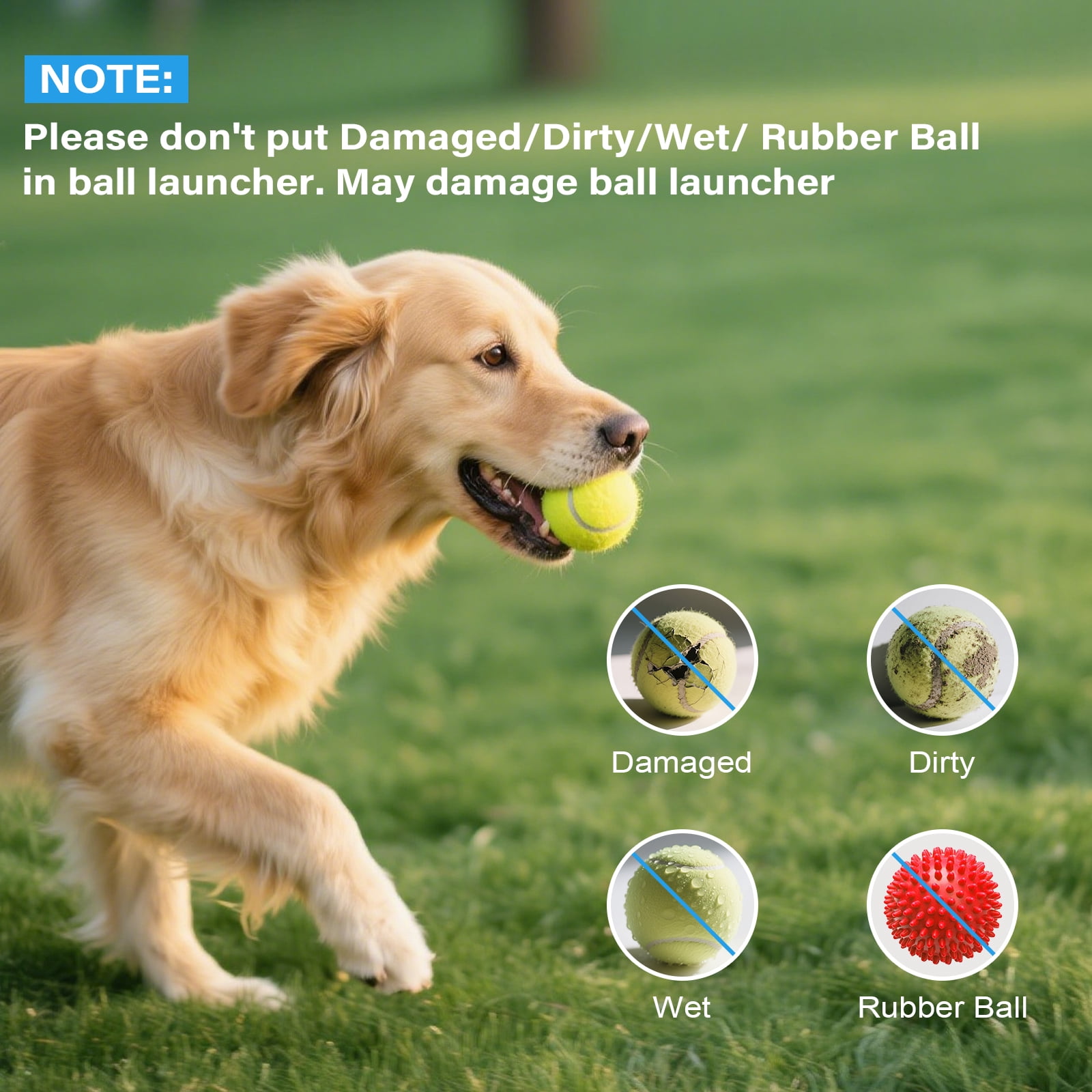 Automatic Dog Ball Launcher for Small Dogs, Indoor/Outdoor Interactive Dog Toy,USB Rechargeable Ball Thrower,10-30 Ft,Includes 15 Mini Tennis Balls,Blue