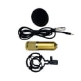 thumbnail image 3 of LEEYNEER Vocal Microphone Double-layer Elastic Mesh Golden 1Set  Conference and Performance, 3 of 8