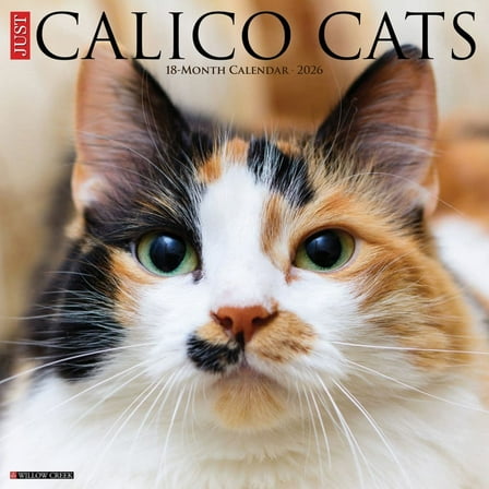 Willow Creek Press, Calico Cats 2026 Wall Calendar, 12'' X 12'', 18-Month Calendar with Stapled Binding
