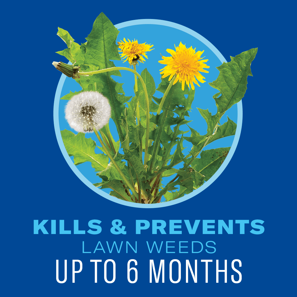 Buy BioAdvanced 5 In 1 Weed & Feed, Granules, 24lb, Covers 10,000 SQFT