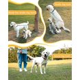 thumbnail image 3 of Double Dogs Lead 2 Way Iron Chain Leash Coupler Twin Pet Trainer Safety Rope Splitter for Walking Training (M-3.5mm*60cm), 3 of 3
