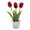 Red, variant on BNNG Artificial Three-Headed Tulips Simulation Flower Bonsai Creative Ornament Simulation Plant for Home Office Living Room Table Desk Plants Decor