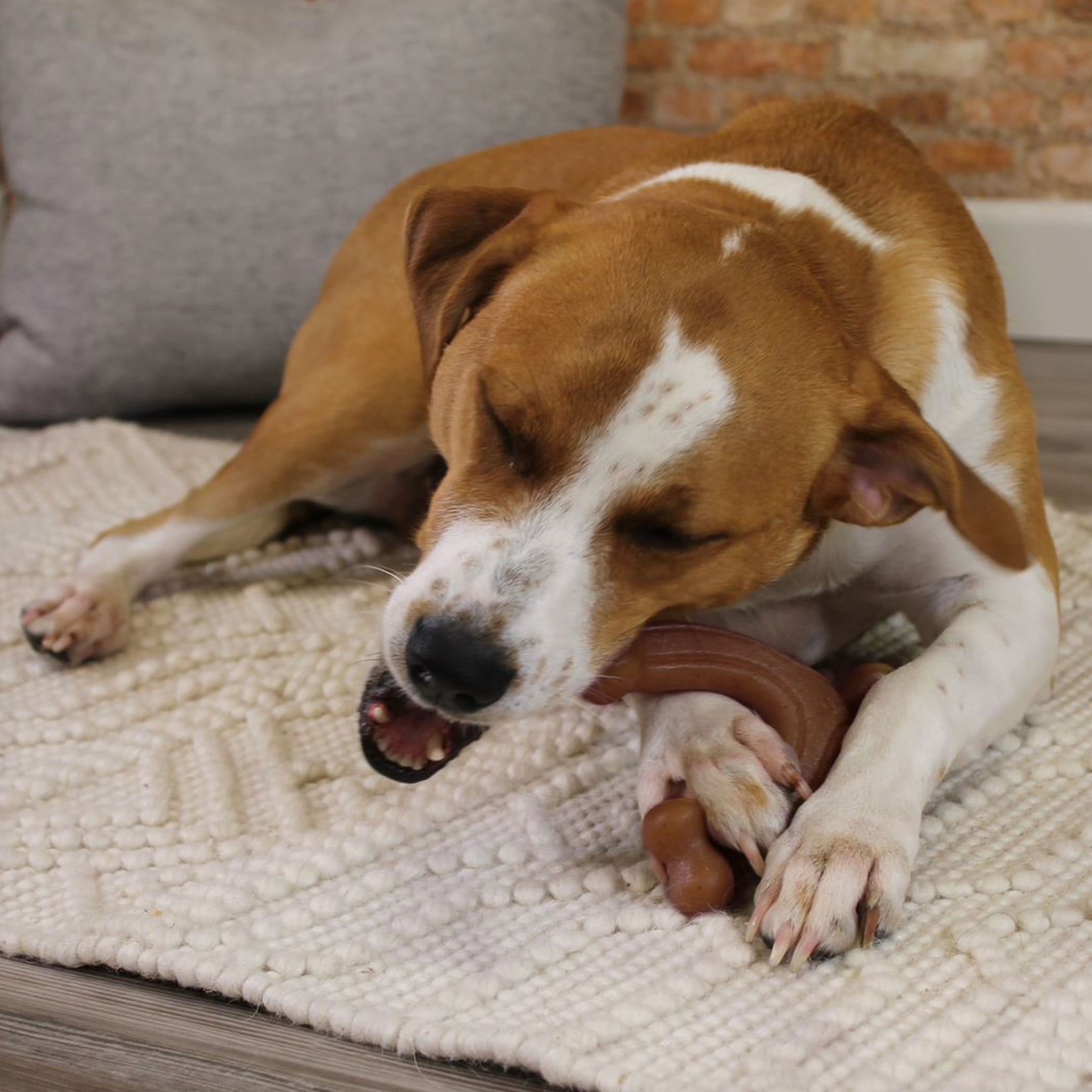 Nylabone Strong Chew Gourmet Style Dog Toys, Dog Chew Toys, Baby Back Ribs, Cheddar, & Filet Mignon Flavor, Large, 3 Pack