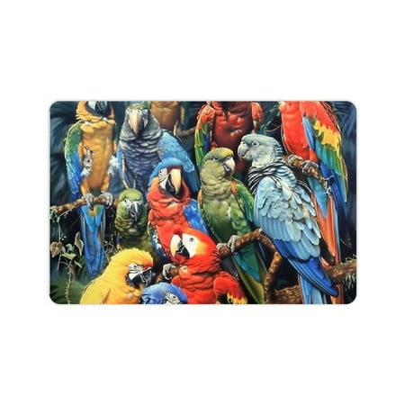 FCXZI Parrots Tree Branch Forest Diatom Mud Mats Non-Slip Home Fast Absorption 24x16in