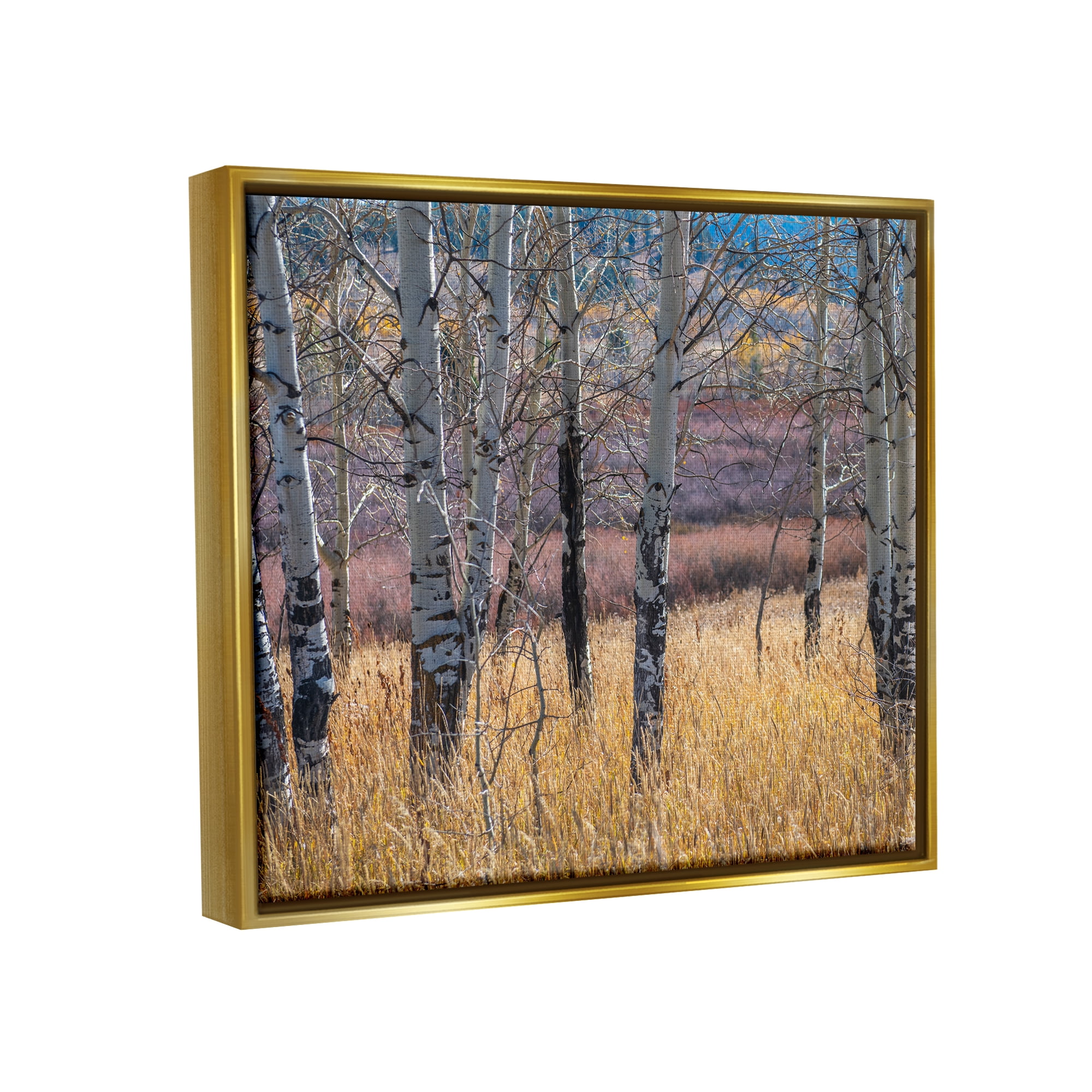 Stupell Industries Birch Trees Photography Nature Photography Gold Floater Framed Art Print Wall Art, 21 x 17