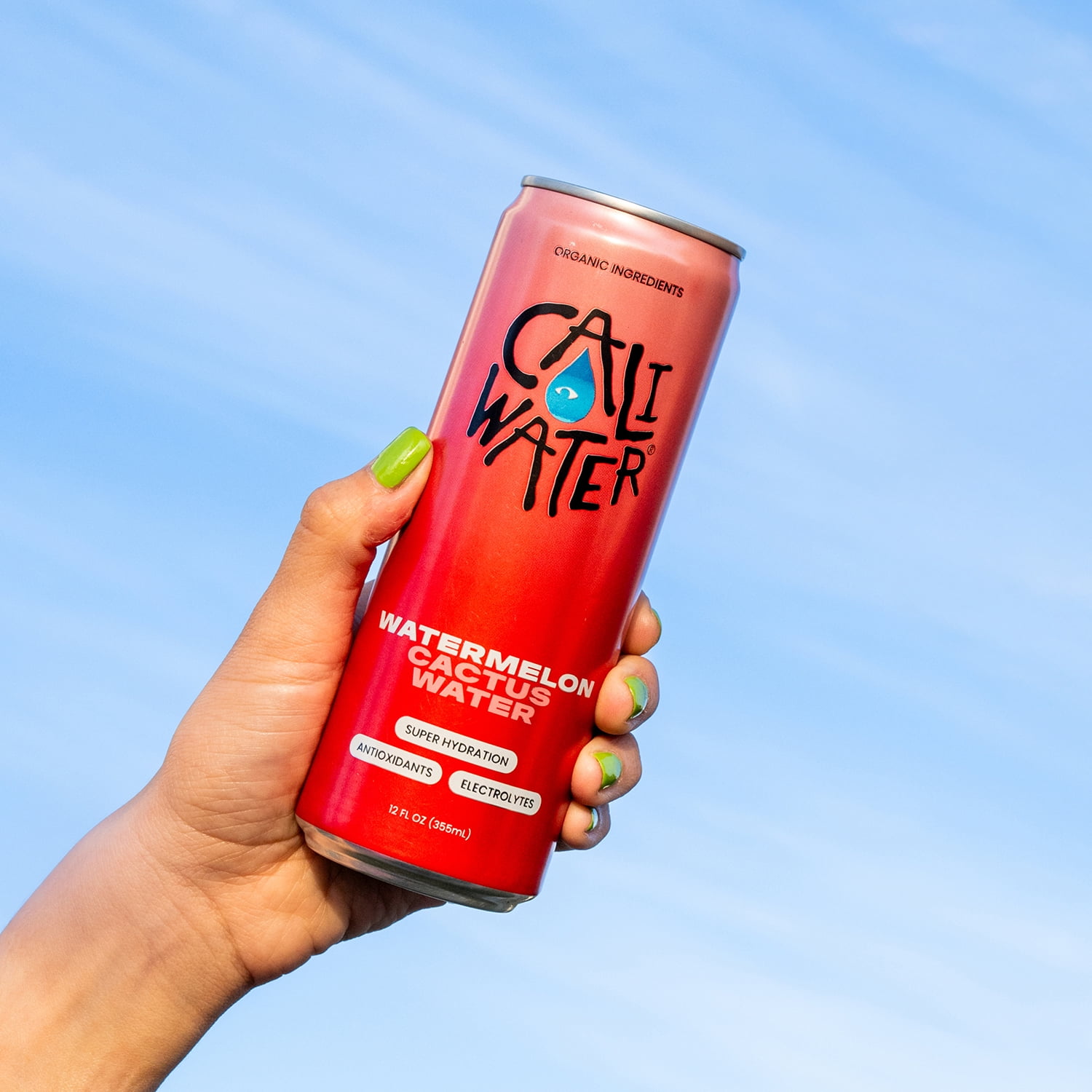 Caliwater Organic Cactus Water Watermelon, Coconut Water Alternative, Natural Plant Based Hydration, Skin Care, Electrolyte Drinks, Flavored Waters, 12-Pack 12oz/can 7g Sugar, 35 Calories