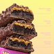 thumbnail image 5 of Vegan Protein Bars - Updated Recipe | Plant Based, Low Sugar & Carb, High Fiber Snacks | Variety Pack of 12 (4 Flavors), 5 of 5