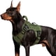 thumbnail image 1 of Arnés táctico para perros WINGOIN para perros grandes, color verde (XL), 1 of 5