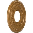 thumbnail image 2 of Ekena Millwork 10"OD x 3 1/2"ID x 3/4"P Baltimore Thermoformed PVC Ceiling Medallion (Fits Canopies up to 4 1/4"), Universal Aged Metallic Vintage Gold, 2 of 10