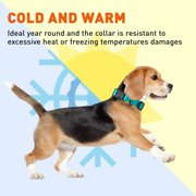 Biothane Waterproof Dog Collar with Quick Release Buckle