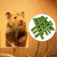 thumbnail image 3 of Molar Chew Toy Papaya Stem, Chewing Rod Cleaning Toothbrush Snacks Chew Rod For Rabbit For Bunny Chinchillas Pet Supplies Rabbits Colco tallo de papaya, 3 of 8