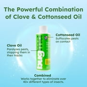 BugMD Pest Control Essential Oil Concentrate 4oz (4 Units) - Quick Kills Flies, Ants, Fleas, Ticks, Roaches, Mosquitoes