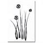Trademark Art "White and Black Bunch" Canvas Wall Art by Kathie McCurdy