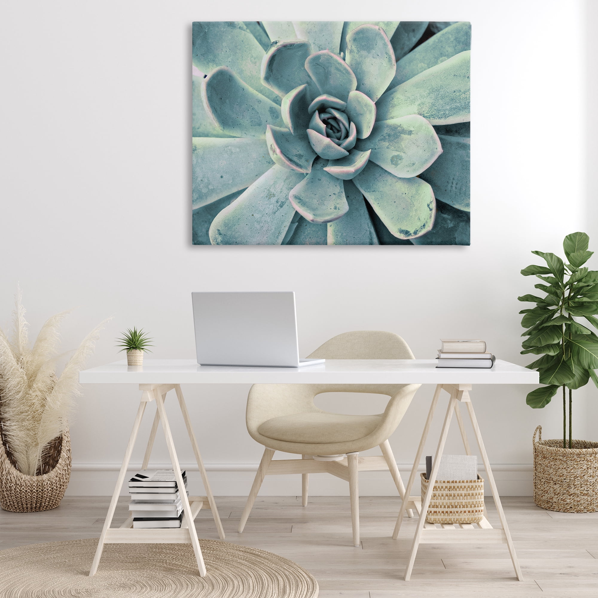 Stupell Industries Green Cactus Succulent Botanical & Floral Photography Gallery Wrapped Canvas Art Print Wall Art, 48 x 36