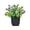 🔥 Purple_New#2914, variant on Artificial Bonsai Plant in Black Pot Plastic Decorative Desktop Greenery for Home Office Windowsill Shelf Long Lasting No Maintenance