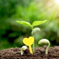 thumbnail image 2 of WHAMVOX Plant Labels Yellow PP 100Pcs 3.2X1.8In Heart Shaped Garden Decoration, 2 of 8