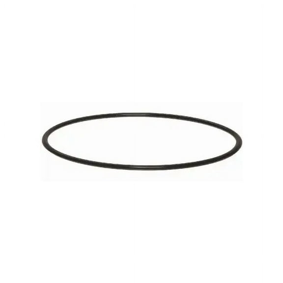 Culligan OR-150 3/4 Inch Housing O Ring, Each