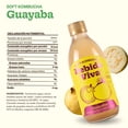 thumbnail image 3 of Bebida fermentada Bebida Viva Kombucha con probióticos vivos sabor guayaba 377 ml, 3 of 5