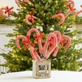 thumbnail image 5 of Hometravel Red White Candy Cane Decor, Christmas Candy Branch Arrangements, Festive Holiday Stems for Display, Seasonal Decorative Accents, 5 of 9