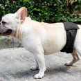 thumbnail image 3 of 3 piezas de pañales para perros, pañales antiacoso para perros, pantalones fisiológicos para perros, 3 of 6